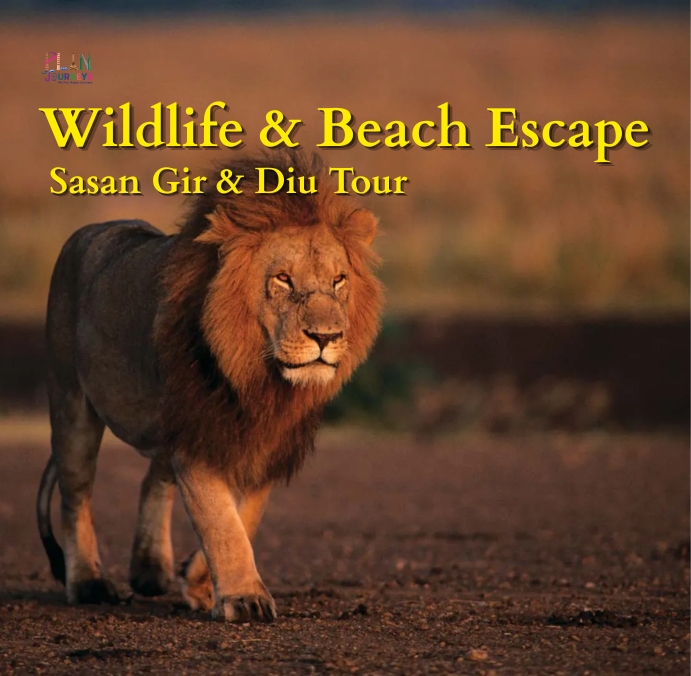 Wildlife & Beach Escape – Sasan Gir & Diu Tour