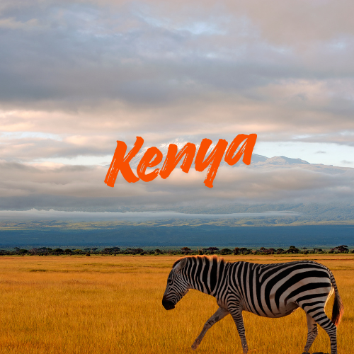 Kenya Tour Packages