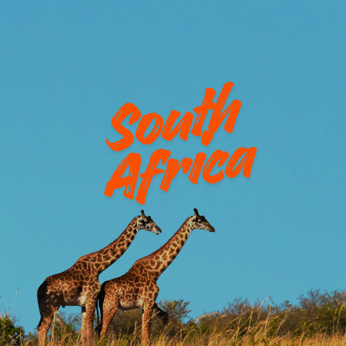 South Africa Tour Packages