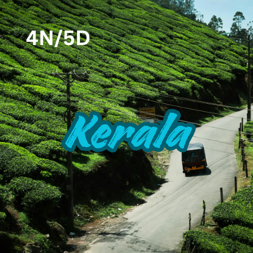 Kerala Travel Package 
