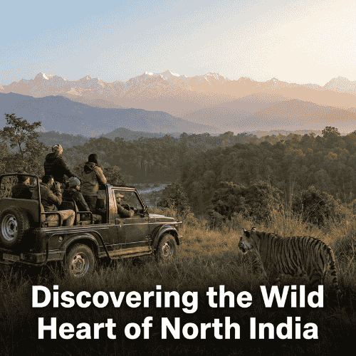  Discovering the Wild Heart of North India