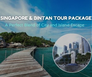 Singapore and Bintan Tour Package