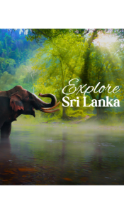 6 Days Sri Lanka Tour Package